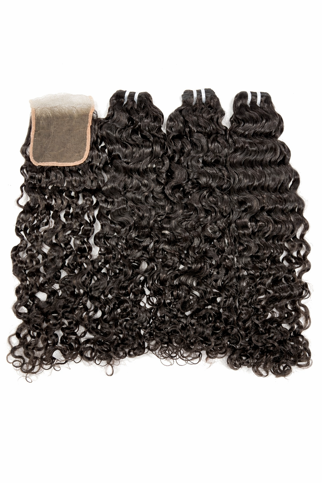 Burmese Curly